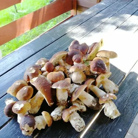 Wodna Ostoja Z Pokojem Zabaw Nad Jeziorem