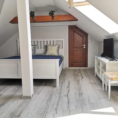 Wodna Ostoja Z Pokojem Zabaw Nad Jeziorem Apartment *