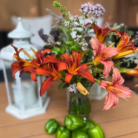 Апартаменты Wodna Ostoja Z Pokojem Zabaw Nad Jeziorem