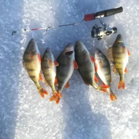 Апартаменты Wodna Ostoja Z Pokojem Zabaw Nad Jeziorem *