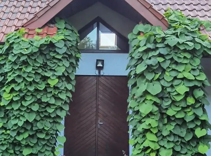 Apartment Wodna Ostoja Z Pokojem Zabaw Nad Jeziorem *