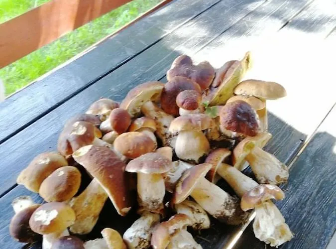 Wodna Ostoja Z Pokojem Zabaw Nad Jeziorem