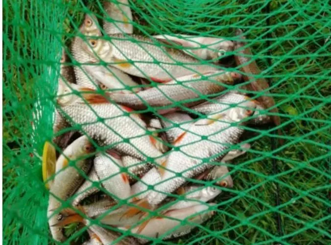 Wodna Ostoja Z Pokojem Zabaw Nad Jeziorem Apartment Buczki