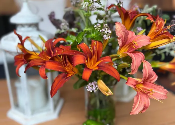 Apartment Wodna Ostoja Z Pokojem Zabaw Nad Jeziorem