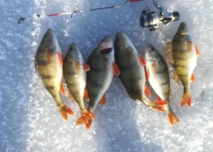 Apartment Wodna Ostoja Z Pokojem Zabaw Nad Jeziorem *