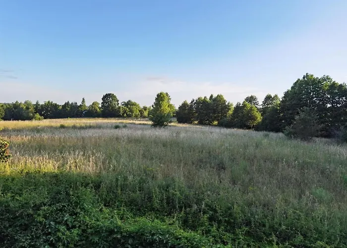 Apartment Wodna Ostoja Z Pokojem Zabaw Nad Jeziorem